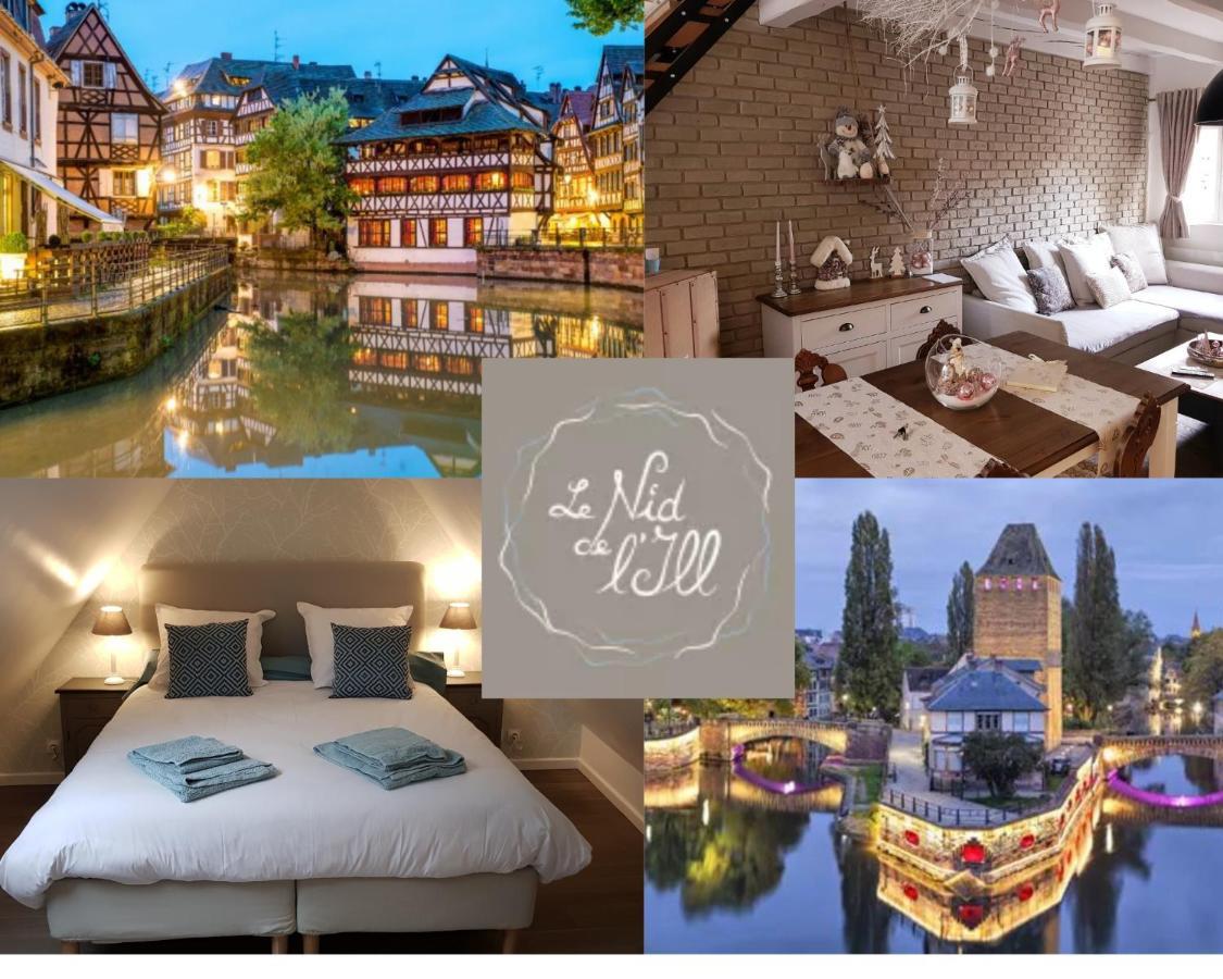 Le Nid De L'Ill, Magnifique Duplex Cosy Petite France Daire Strazburg Dış mekan fotoğraf