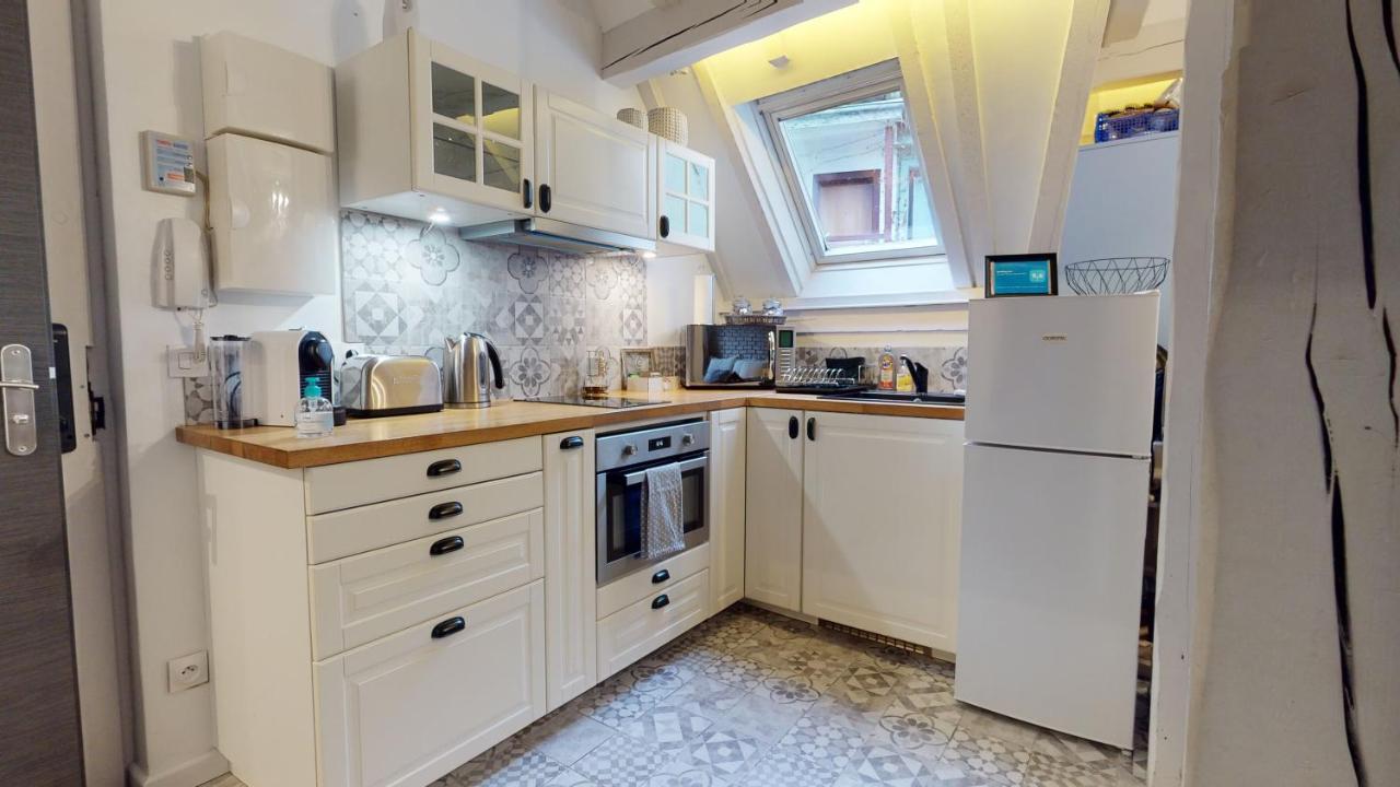 Le Nid De L'Ill, Magnifique Duplex Cosy Petite France Daire Strazburg Dış mekan fotoğraf