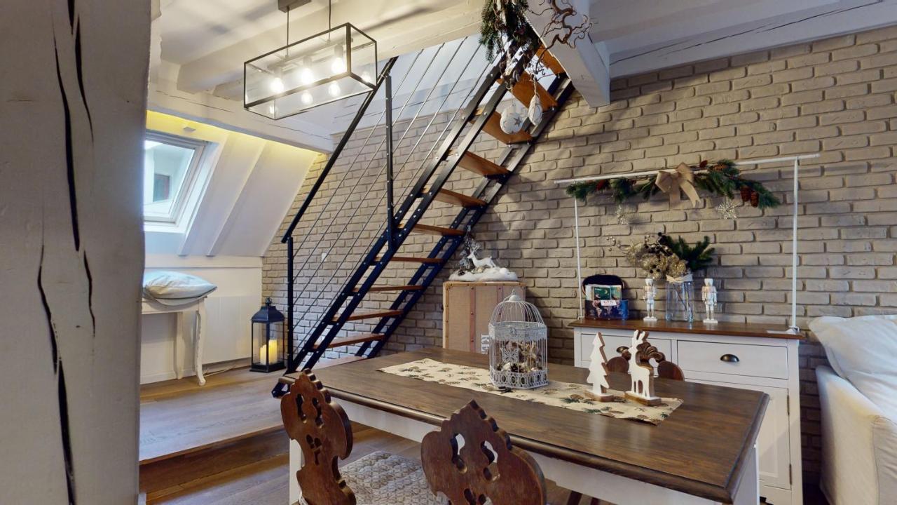 Le Nid De L'Ill, Magnifique Duplex Cosy Petite France Daire Strazburg Dış mekan fotoğraf