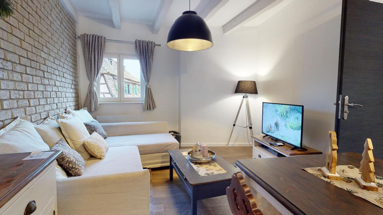 Le Nid De L'Ill, Magnifique Duplex Cosy Petite France Daire Strazburg Dış mekan fotoğraf