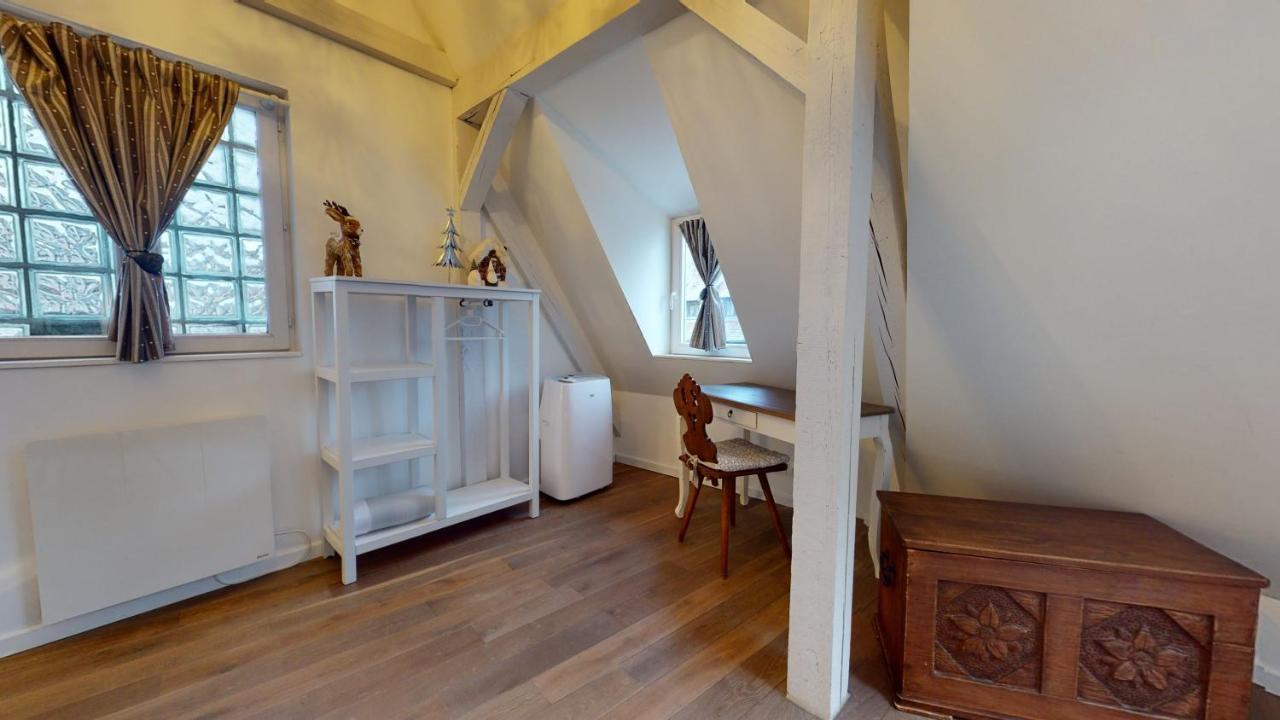 Le Nid De L'Ill, Magnifique Duplex Cosy Petite France Daire Strazburg Dış mekan fotoğraf