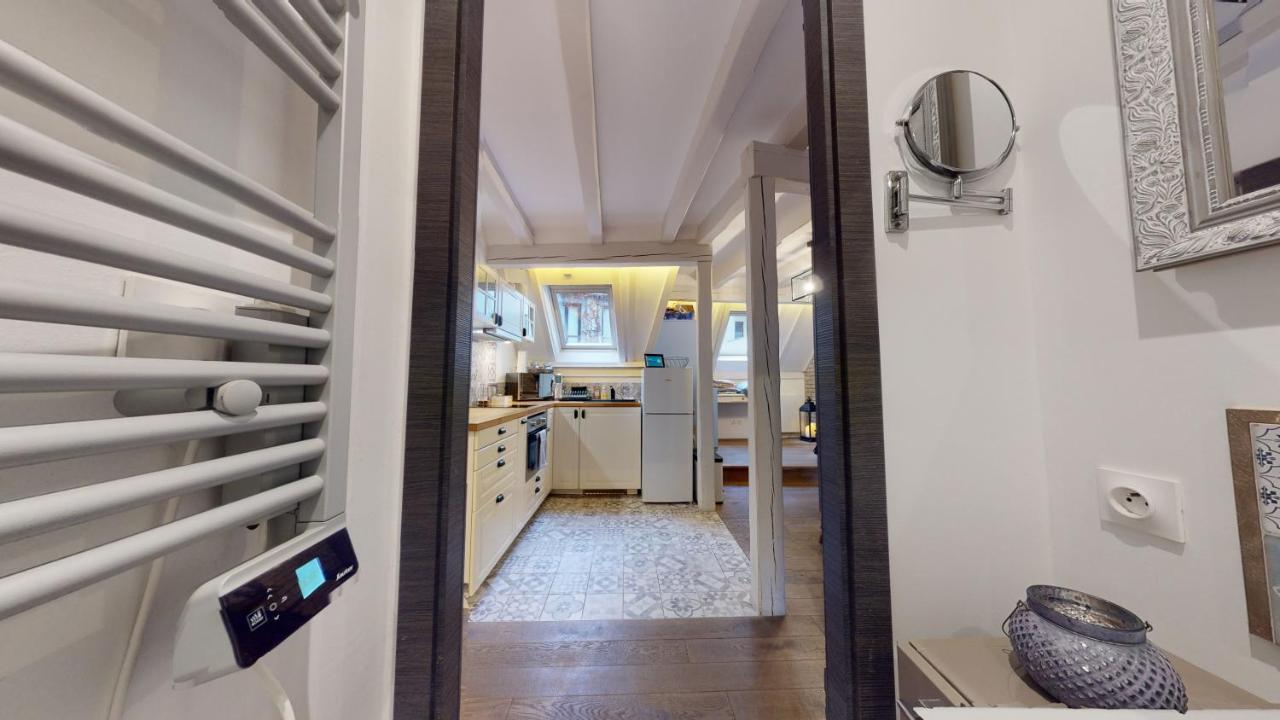 Le Nid De L'Ill, Magnifique Duplex Cosy Petite France Daire Strazburg Dış mekan fotoğraf